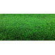 Trávny koberec Green 20 metrážny