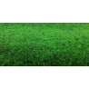 Trávny koberec Green 20 metrážní