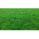 Umelá tráva Green 20 metráž