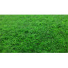 Umelá tráva Green 20 metráž