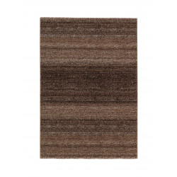 Kusový koberec Carpi 150060 Brown
