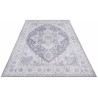 Kusový koberec Asmar 104003 Mauve / Pink