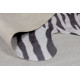 Kusový koberec Faux Animal Zebra Print Black / White