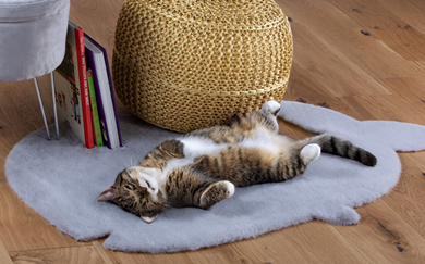 Kusový koberec Luna pre zvieratá