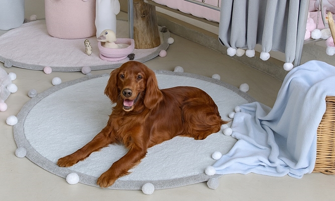 Koberce pre dom&aacute;cich mil&aacute;čikov