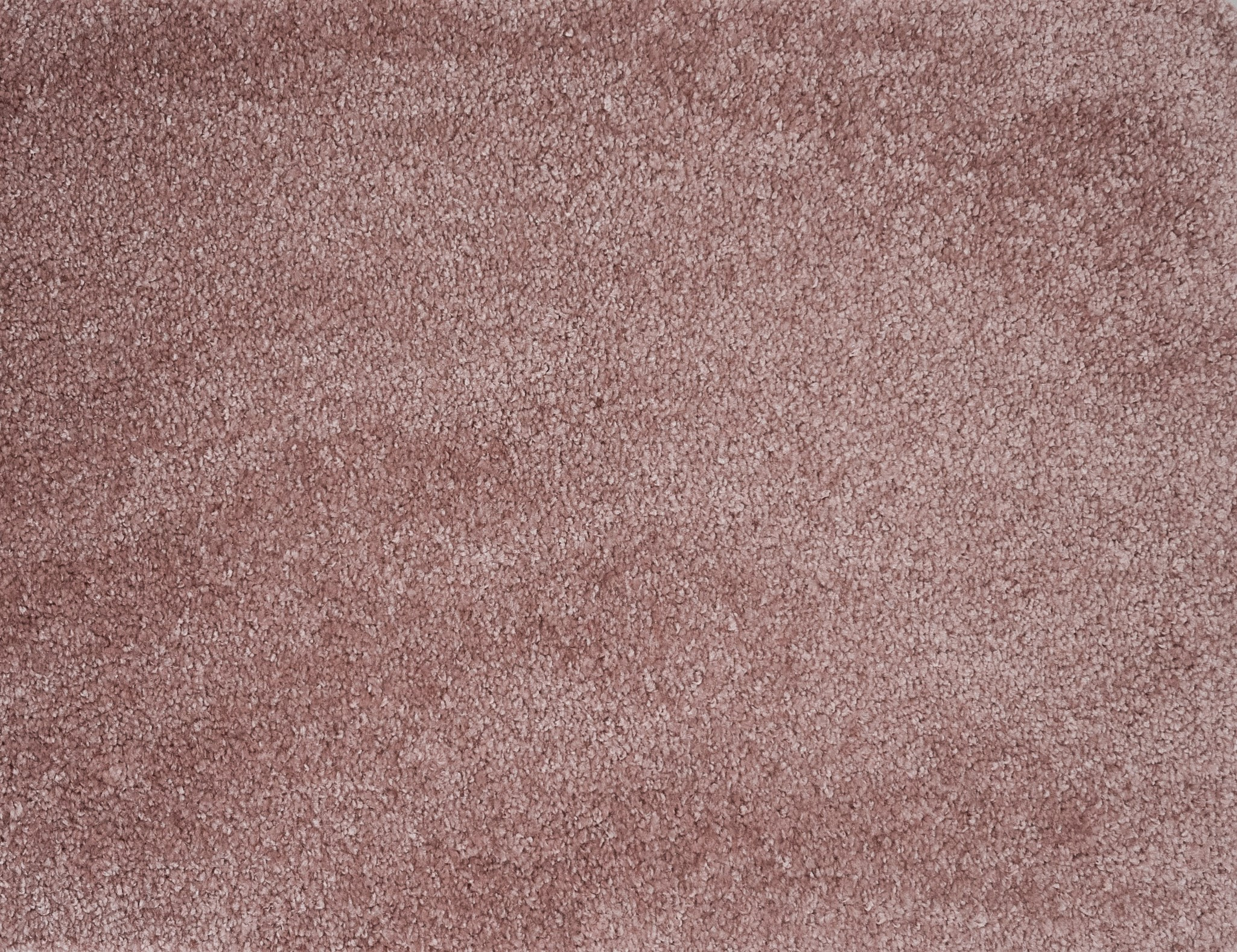Associated Weavers, Koberec metráž Cosy 60, na mieru, šíře 4m, ružová, filc, obývacia izba