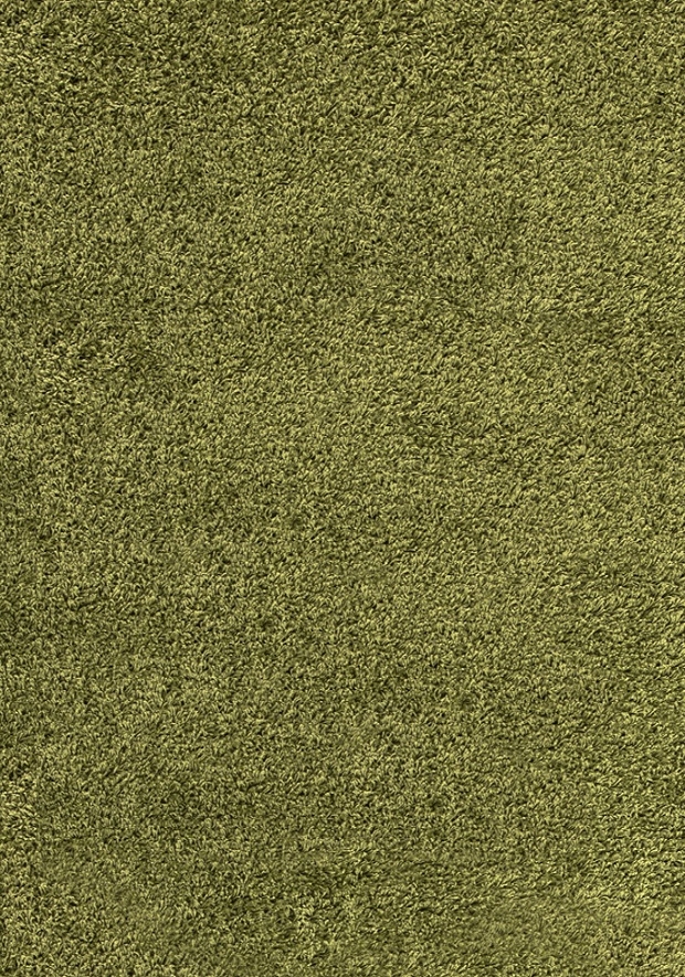 Kusový koberec Dream Shaggy 4000 green - 120x170 cm Ayyildiz koberce 