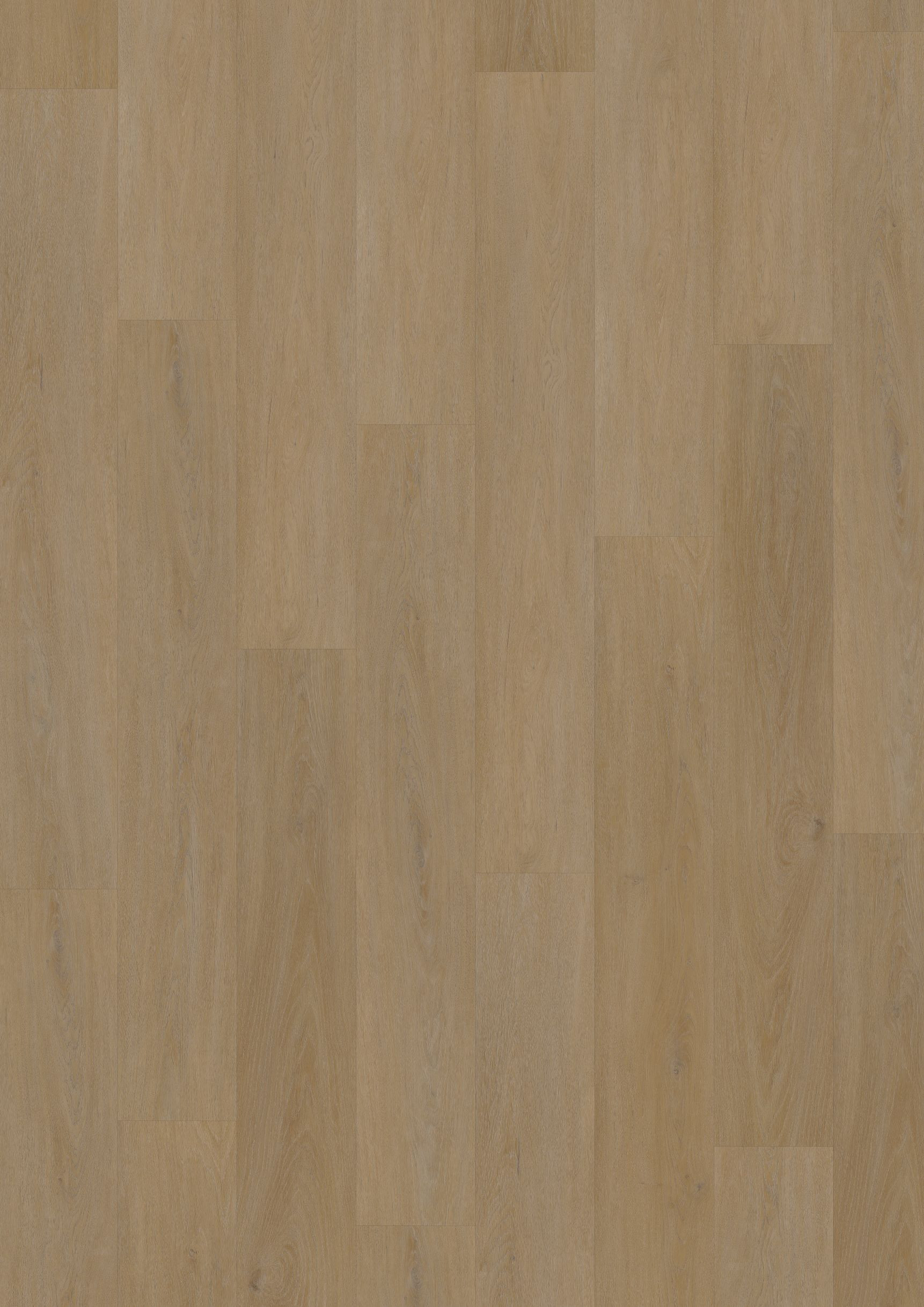 Oneflor, Vinylová podlaha lepená ECO 55 064 English Oak Honey, 1219,2 x 184,1 mm