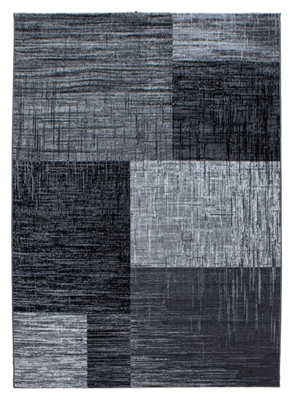 Ayyildiz, Kusový koberec Plus 8001 black, 80x150, šedá, chodba / predsieň