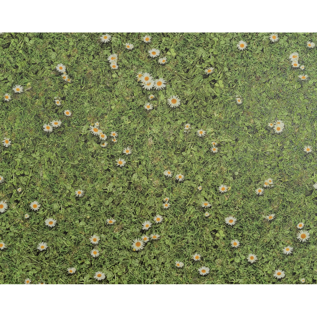 PVC podlaha Playtec 2502 Daisies