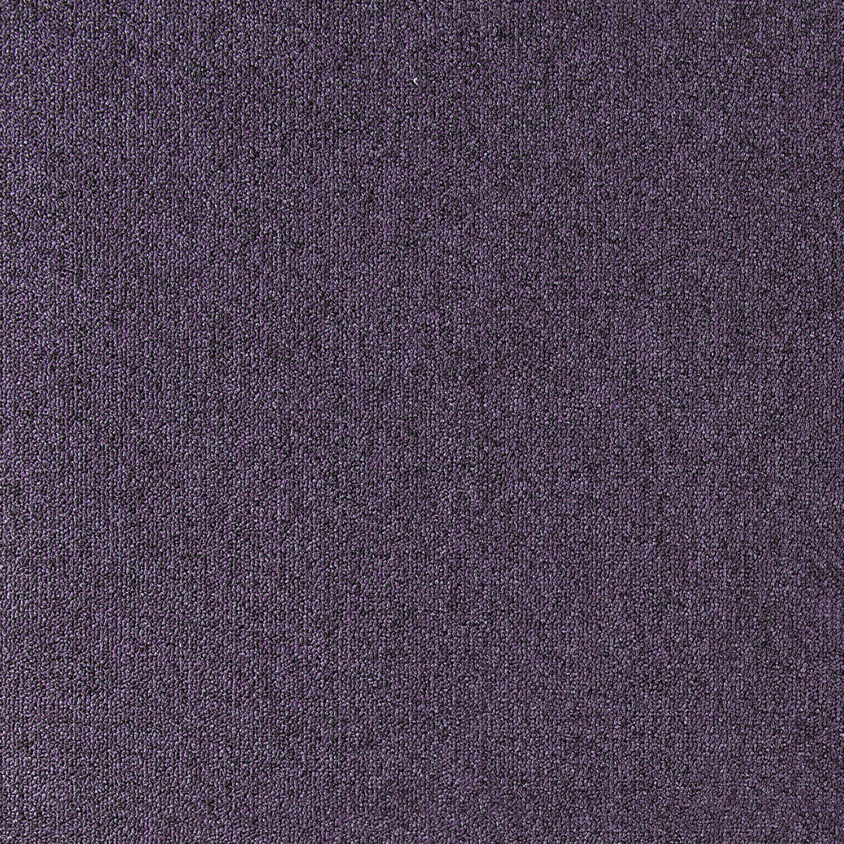 Tapibel, Metrážny koberec Cobalt SDN 64096 - AB tmavo fialový, záťažový, na mieru, šíře 4m,5m, fialová, ab (mriežka), chodba / predsieň