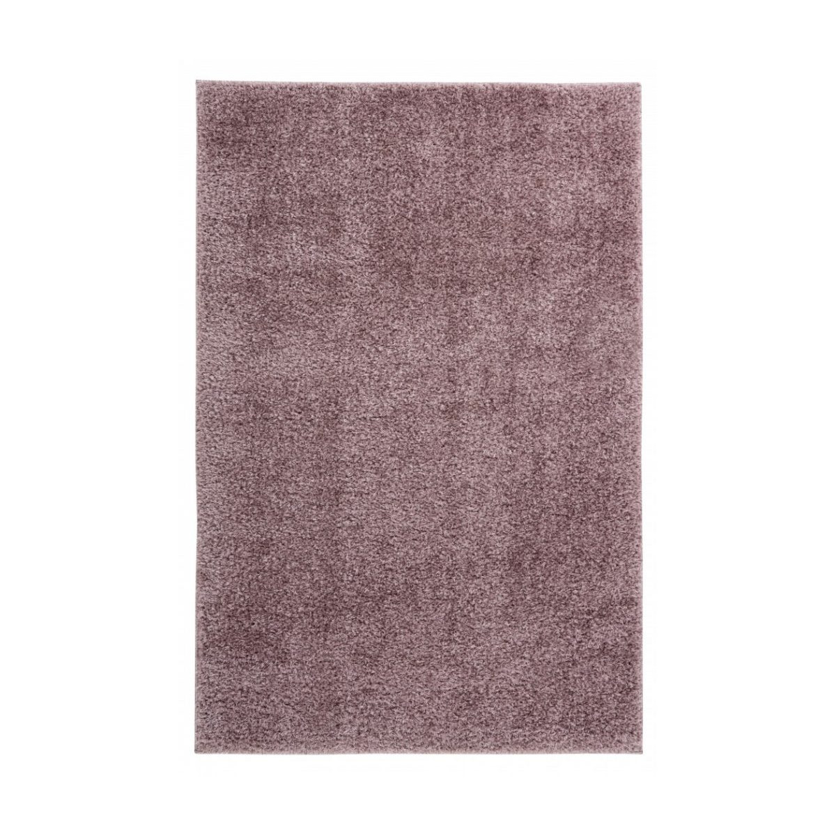 AKCIA: 120x170 cm Kusový koberec Emilia 250 powder purple