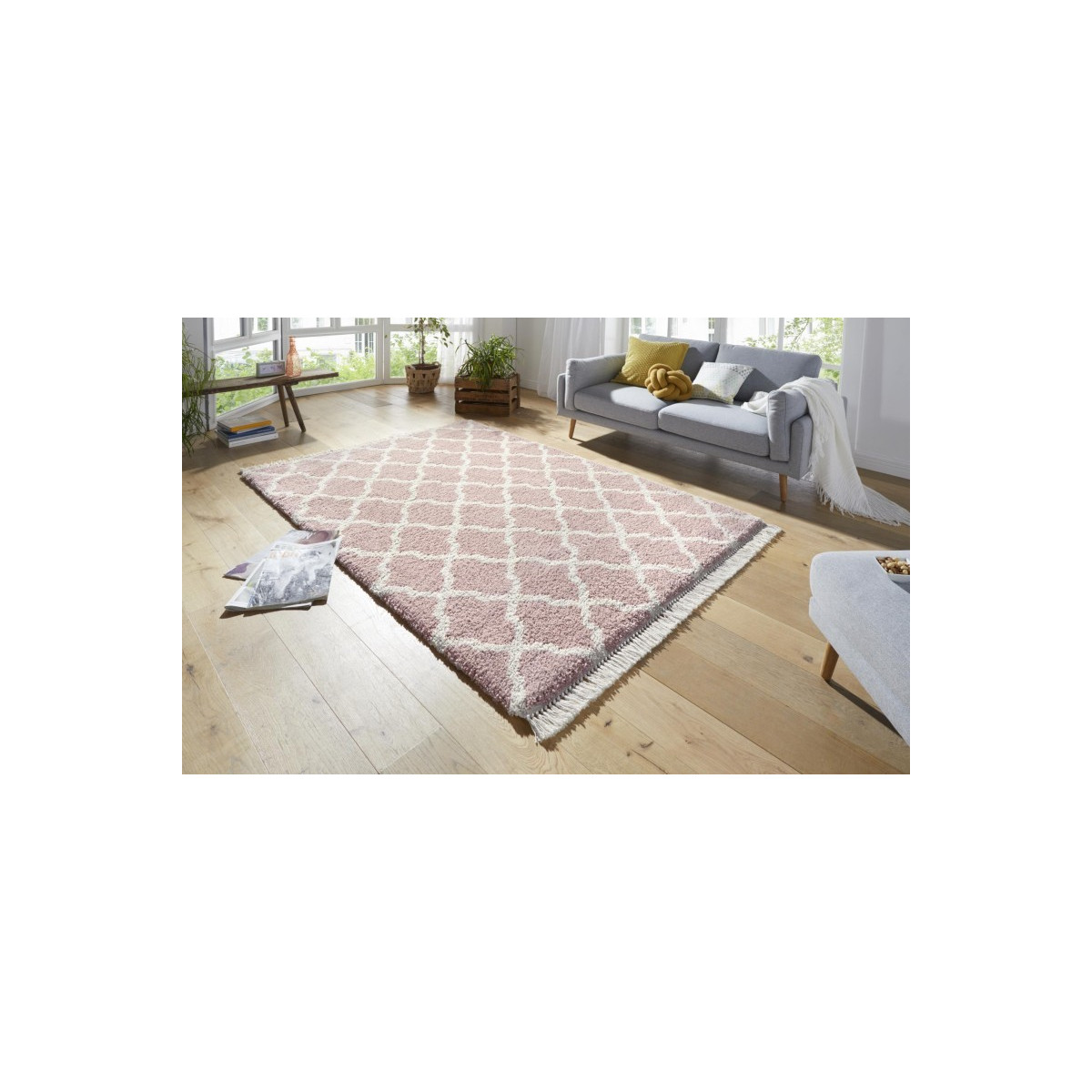 AKCIA: 120x170 cm Kusový koberec Desiré 103327 Rosa Creme