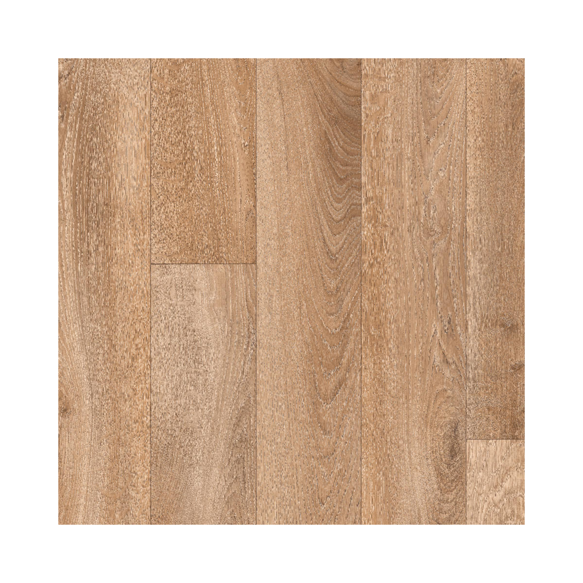 PVC podlaha Asolo Wood French Oak grey beige