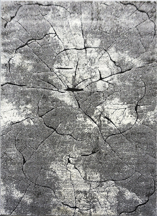 Berfin Dywany, Kusový koberec Miami 129 Grey, 280x370, šedá, obývacia izba