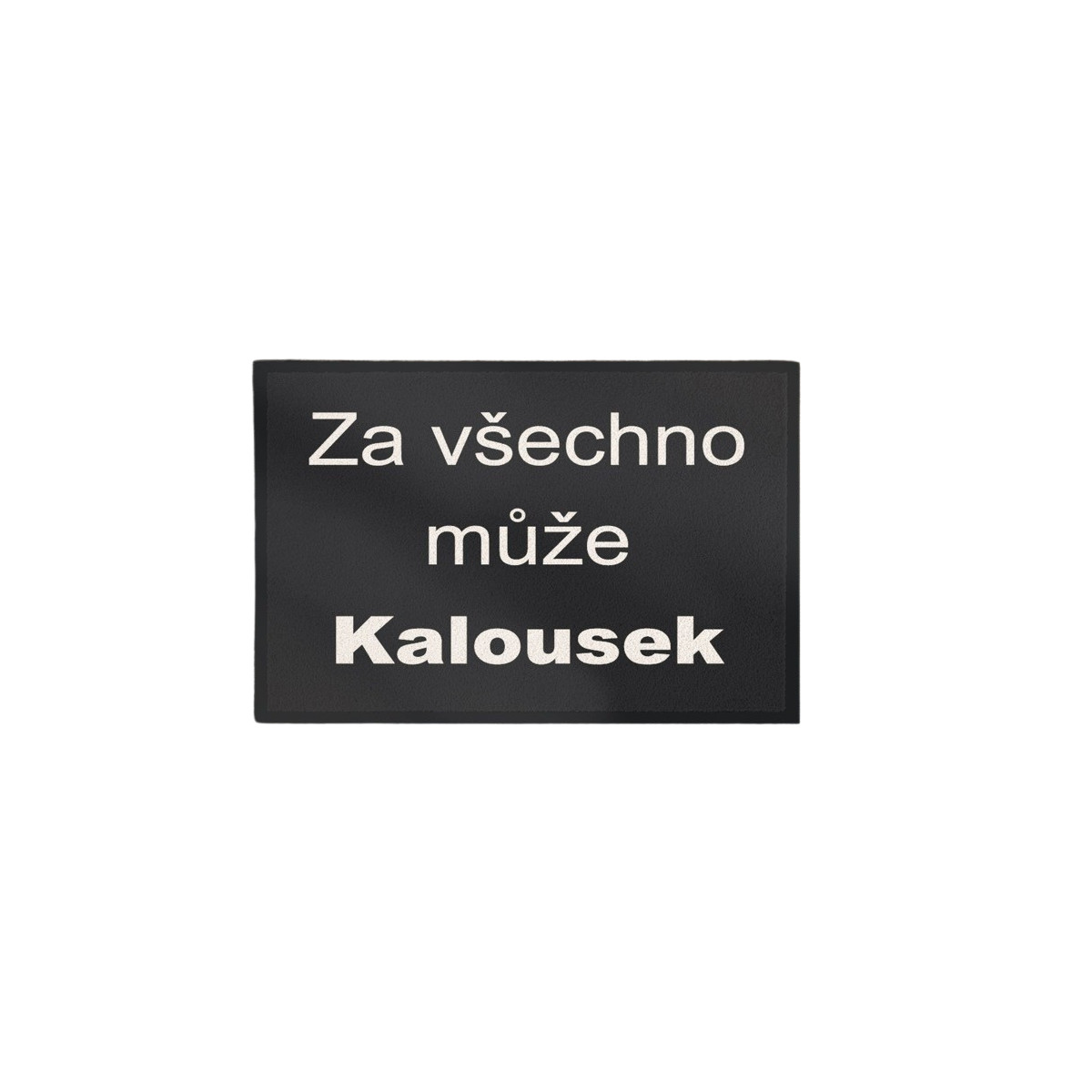 Rohožka Kalousek 40x60 cm