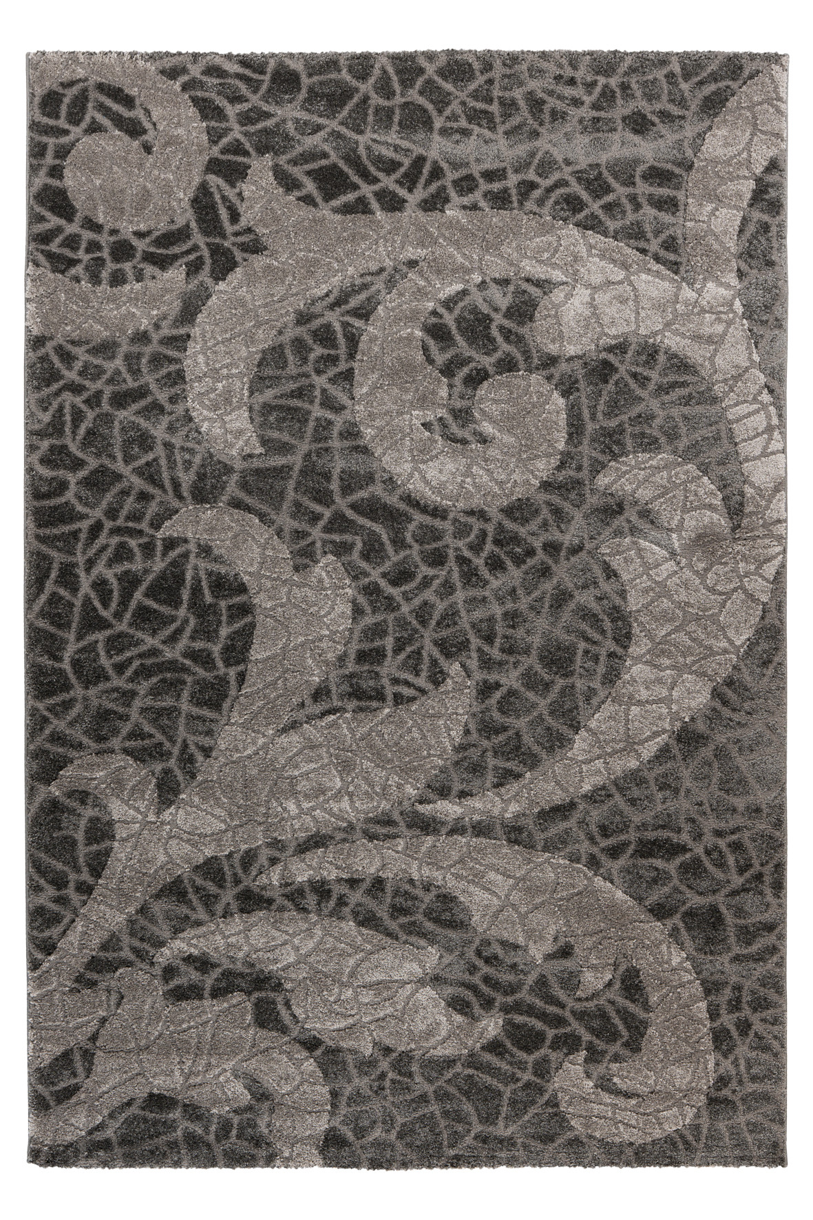 Obsession, Kusový koberec My Frisco 280 Anthracite, 80x150, šedá, obývacia izba