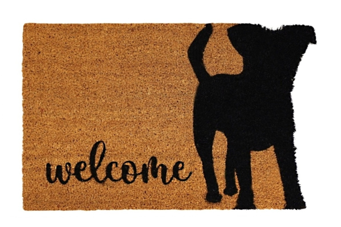 Trade Concept, Rohožka Kokos Welcome Pes - na von aj na doma, 40x60, hnedá, chodba / predsieň