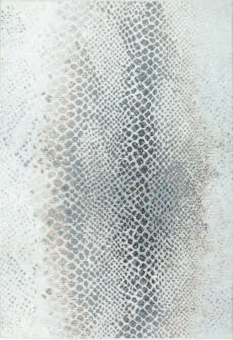 Osta, AKCIA: 80x140 cm Kusový koberec Piazzo 12263 910, šedá, chodba / predsieň