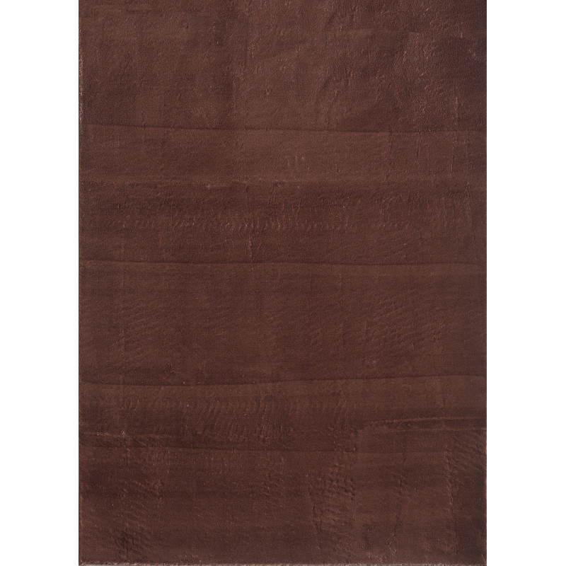Ayyildiz, AKCIA: 80x150 cm Kusový koberec Catwalk 2600 Brown, hnedá, obývacia izba