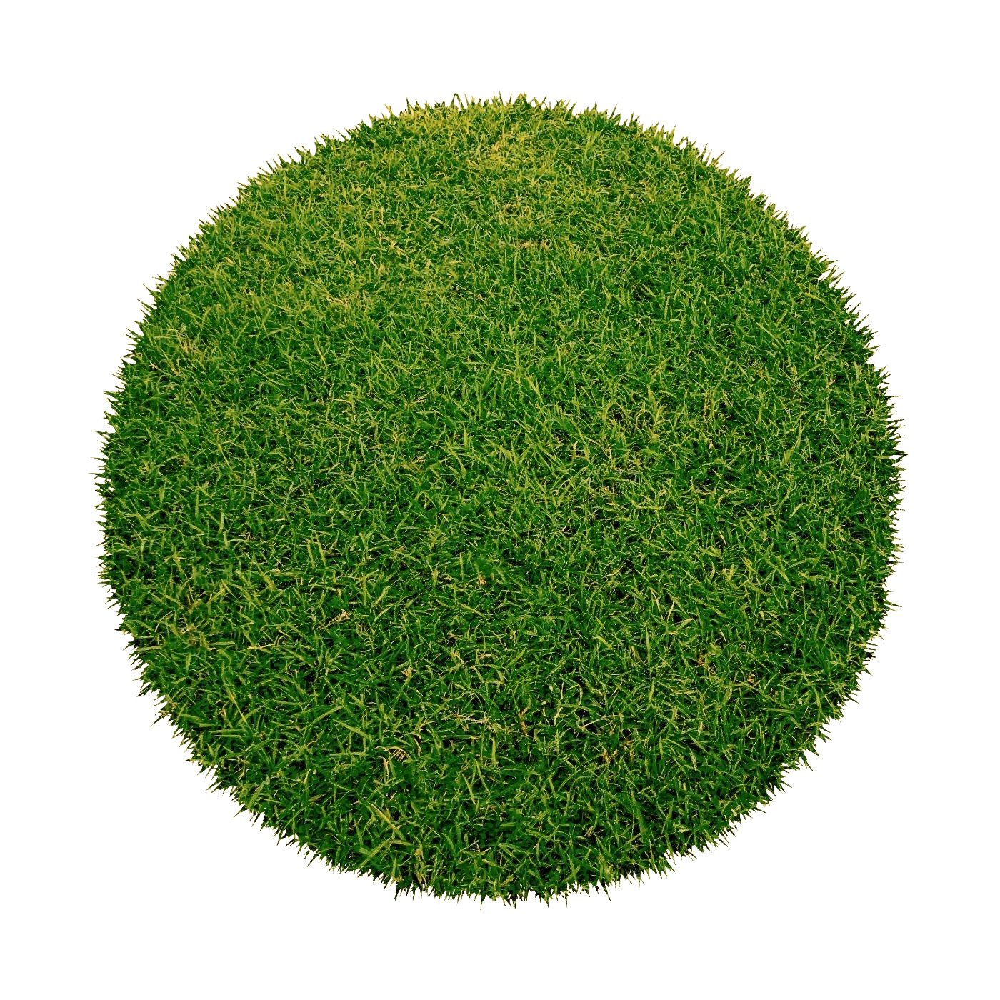 Europe Grass, AKCIA: 200x200 (průměr) kruh cm Umelá tráva Botanic kruh, zelená, exteriér