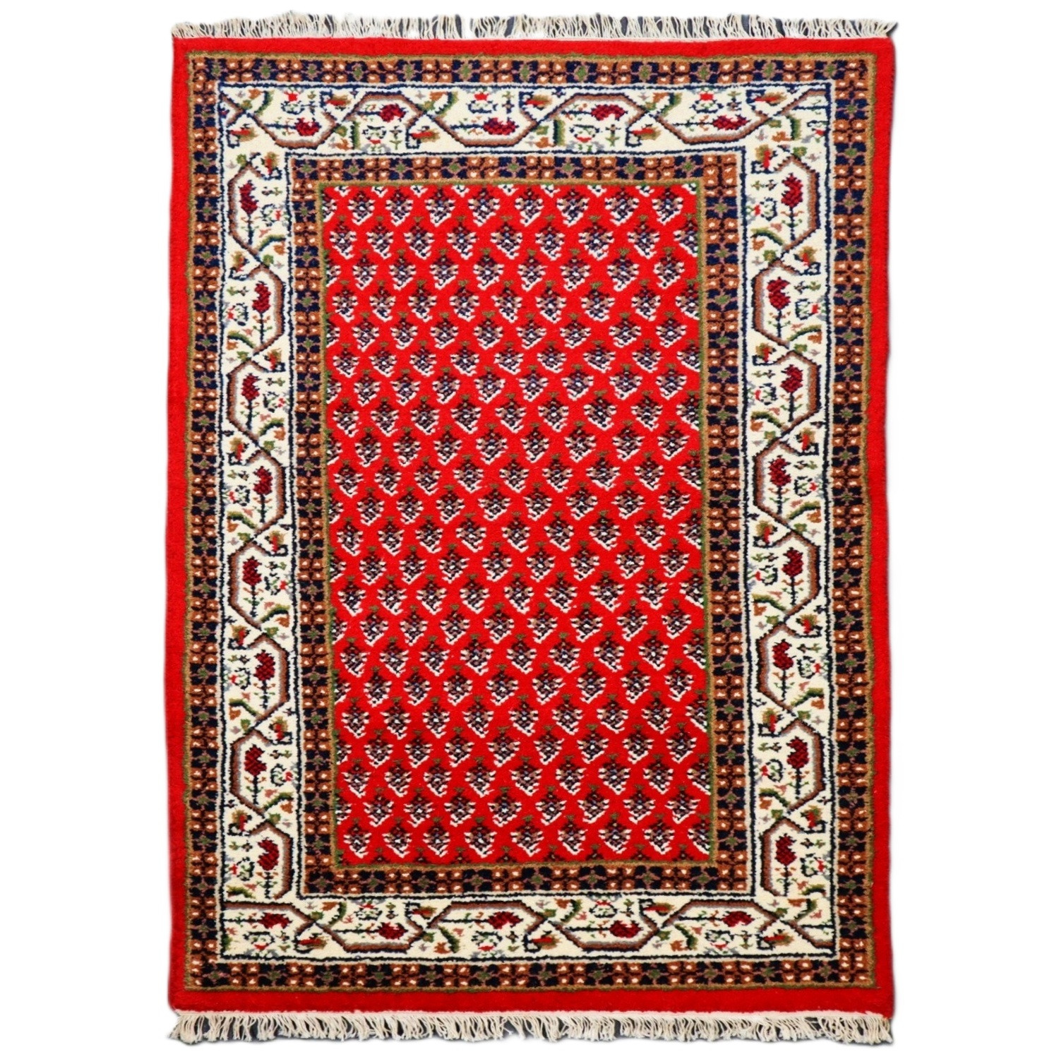 Asra, Ručne všívaný kusový koberec Asra wool ivory, 90x160, červená, obývacia izba
