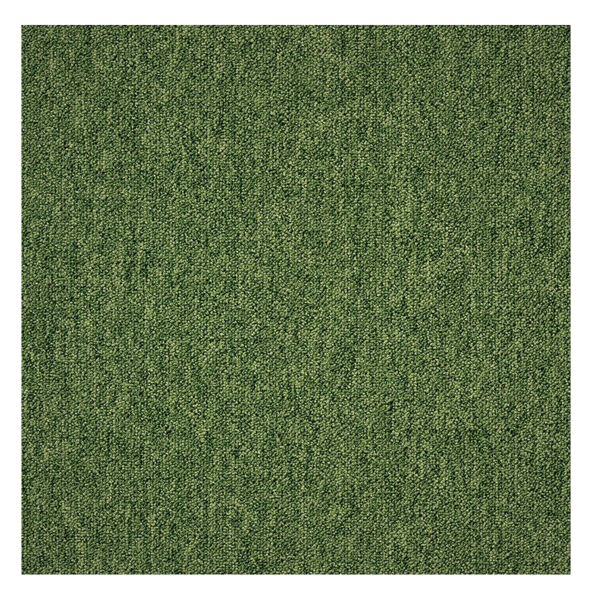 Tapibel, Kobercový štvorec Coral 58376-50 zelený 50 x 50 cm, chodba / predsieň