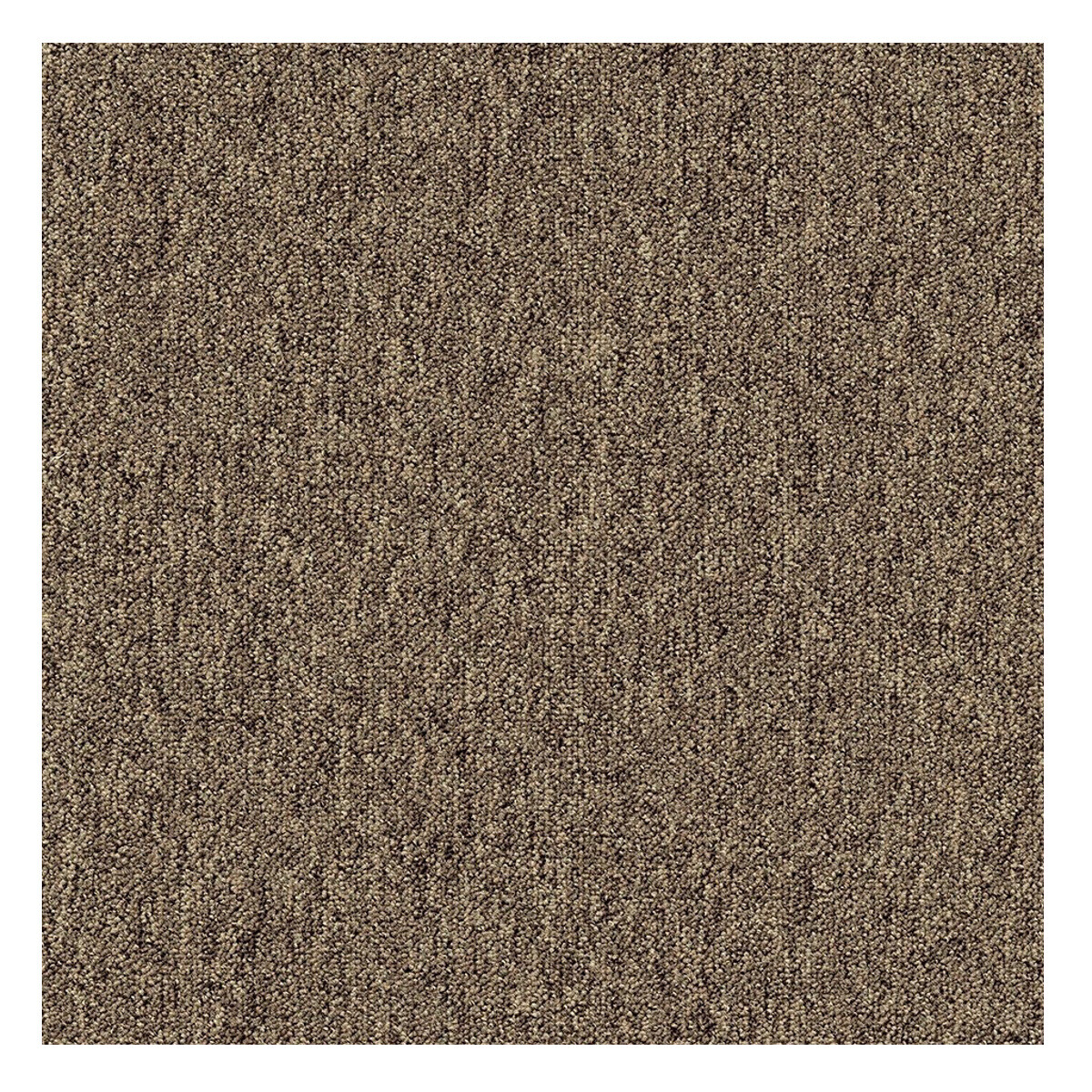 Tapibel, AKCIA: 50x50 cm Kobercový štvorec Coral 58309 Bitumen hnedý 50 x 50 cm, chodba / predsieň