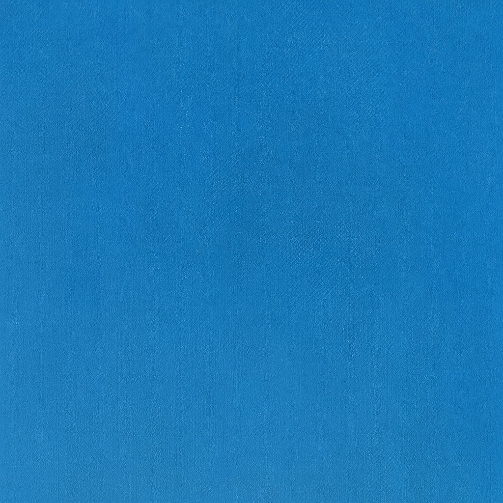 E-shop Gerflor, AKCIA: 200x200 cm PVC podlaha - lino Flexar Nerok 2249 Brooklyn Blue, šíře, modrá, bez podkladu, chodba / predsieň