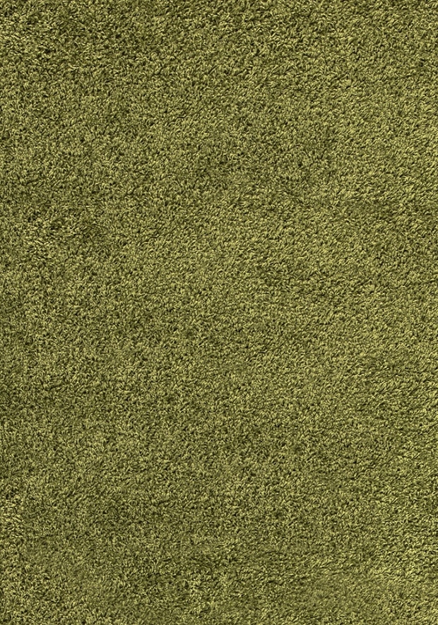 Ayyildiz, DOPREDAJ: 120x170 cm Kusový koberec Dream Shaggy 4000 green, 120x170, zelená, obývacia izba