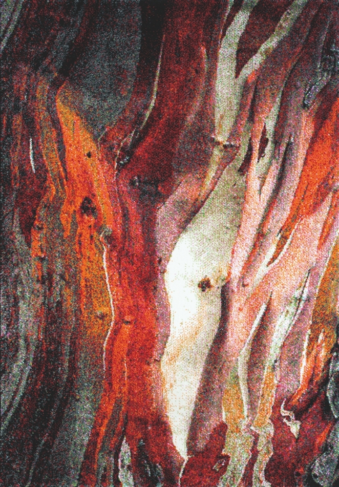 Spoltex, AKCE: 160x230 cm Kusový koberec Rust red 21304-910, viacfarebná, obývacia izba