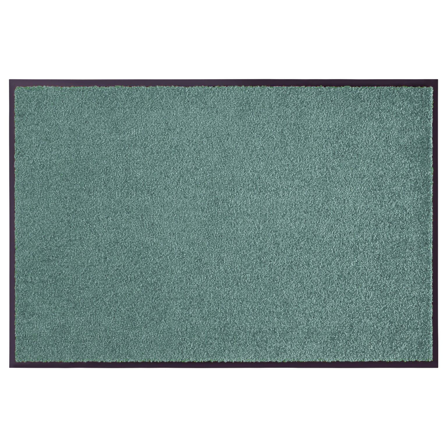 Hanse Home, Rohožka Wash & Clean 103836 Olive Green, 40x60, zelená, chodba / predsieň