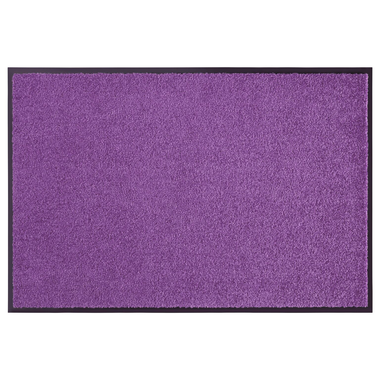 Hanse Home, Rohožka Wash & Clean 103838 Violett, 40x60, fialová, chodba / predsieň