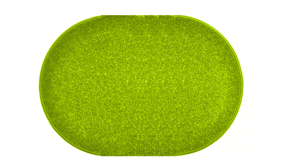 Kusový koberec Eton zelený ovál - 50x80 cm Vopi koberce 