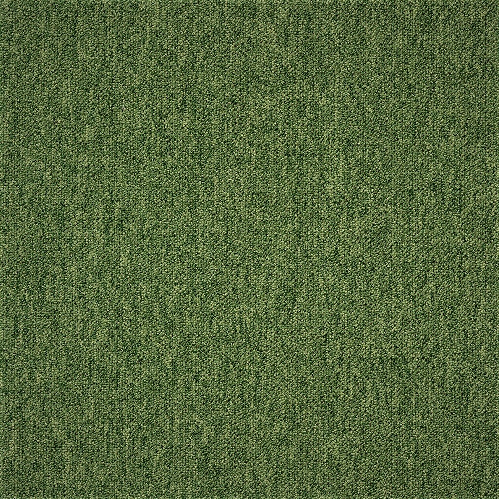 Tapibel, Kobercový štvorec Coral 58376-50 zelený 50 x 50 cm, chodba / predsieň