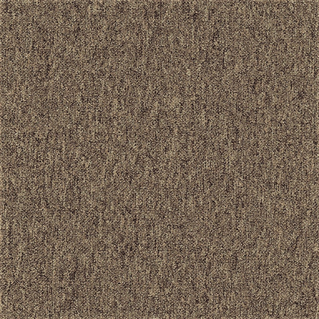 Tapibel, Kobercový štvorec Coral 58309 Bitumen hnedý 50 x 50 cm, chodba / predsieň