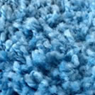 COLOR SHAGGY